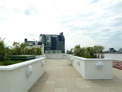 Picture 7